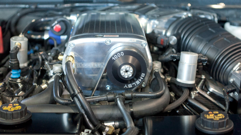 Illustration for article titled 2013 Shelby 1000